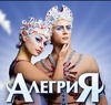 Билет на шоу Cirque du Soleil Alegria