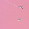 Розовое озеро Ретба в Сенегале, Западная Африка