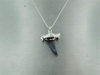 Shark Tooth