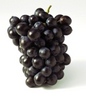черный виноград (не путайте с красным!)