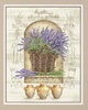 French Lavender by Dimensions