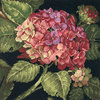 Hydrangea Bloom- Dimensions