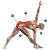 Анатомия йоги