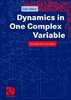 Dynamics in One Complex Variable: Introductory Lectures