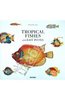 Tropical Fishes of the East Indies