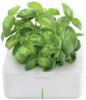 Click and Grow: basil