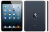 iPad mini 32Gb Wi-Fi + Cellular black