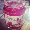 Cactus Jam