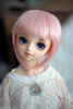 volks suiseiseki