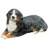 Amazon.com: Sandicast Mid Size Bernese Mountain Dog Sculpture, Lying: Home & Kitchen