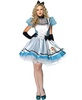 Tea Time Alice In Wonderland Adult Costume