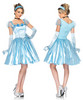 Classic Cinderella Costume