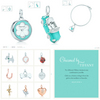 Tiffany browse bracelet and charms