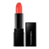 illamasqua lipstick over