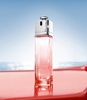 Dior Addict Eau Delice