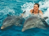плавание с дельфинами