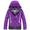 North Face Gore Tex Jacket Purple Grey-Womens