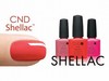 Делать shellac самой