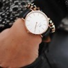 Daniel Wellington Watches