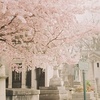 pere lachaise