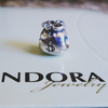 pandora charm money bag