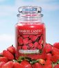 Yankee Candle