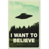 Постер I Want To Believe