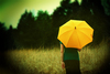 small yellow umbrella