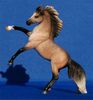 Breyer Andalusian