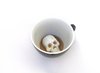 Skull Cup