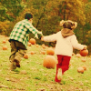 go to a pumpkin patch with D