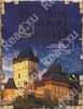 Лисицина Анна Олейченко Виталий "Знаменитые замки Европы"