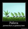 Найти работу, на которую хотелось бы бежать