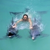 Поплавание с дельфинами