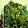 Madrid, Vertical Garden