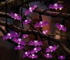 Purple Led Bat Halloween String Lights