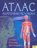 Атлас по анатомии
