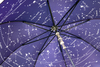 Зонт темно-синий Levenhuk Star Sky U10