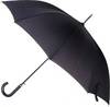 Зонт, желательно однотонный