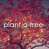 посадить дерево
