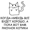 Нового любимого котика