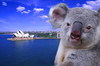 Хочу посетить Австралию