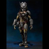Wolf Predator