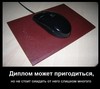 написать диплом