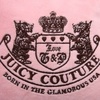 Велюровый спортивный костюм Juicy Couture