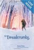 Breadcrumbs by Anne Ursu