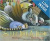 Sleep Like a Tiger by Mary Logue