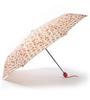 складной зонтик
