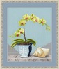 Золотое Руно СЖ-025 Зеленая орхидея. Стиль жизни