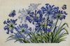 Набор для вышивания "Agalanthus and blue butterflies" от "Permin of Copenhagen".
